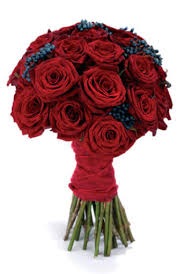 http://t2.gstatic.com/images?q=tbn:ANd9GcQSjs2FFiOhBnjS0L8ERkvKdan9sCpzBpZK_vUK1SOUsLAvzVZQF_eYjXkQ