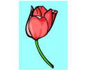 Flower Clip Art   Clipart of Flowers Tulips Daisies Roses etc