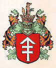 History and genealogy of the noble Konstantynowicz family