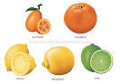 Citrus - Bob Webster's Gardening