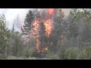 Colorado wildfires force 11000 from their homes - Worldnews.