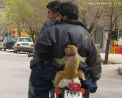 عکس با حالا و خنده دار.....(بدوبیا)حالشوببر 1