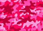 http://torinelson.files.wordpress.com/2011/06/big_pink_camo.jpg