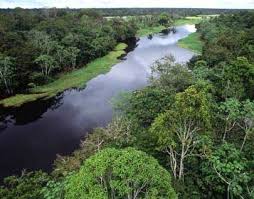 http://t2.gstatic.com/images?q=tbn:ANd9GcQTbJX-I0Vw_SlBmg4OZ2wZIzc1Va7FsDgW8L4pgZp2miUK4ey4AA