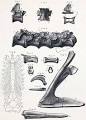 Aristosuchus - Wikipedia, the free encyclopedia