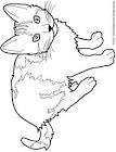 Cat coloring page