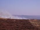 The heather was burnt to improve grazing quality for sheep, - via Daymix