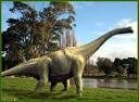 FJB KASKUS EDAN] ada yg jualan dinosaurus nih di fjb CEKIDOT GAN ...