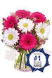 Flowers and Gifts | Chirpy
