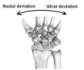 <b>WRIST JOINT</b> COMPLEX