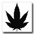 marihuana logo