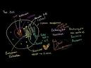 Jeff Schechtman's "Specific Gravity": KHAN ACADEMY transforms ...