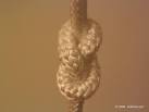 Figure 8 -- I Will Knot!