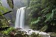 Conservation (ethic) - Wikipedia, the free encyclopedia