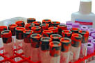 phlebotomy certification