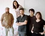 The Magnetic Fields forge ahead - Boston.