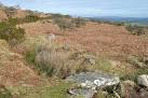 This stone bridge takes an old track across the Wheal Emma Leat, - via Daymix