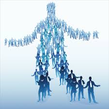 Community Manager