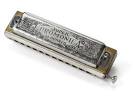 Learn the Harmonica, it's easy