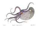 argonaut