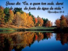 Blog de rosemeire : rosemeire25256, ;;;;;;;;;;;;;;;;;;;;;;;;;;;;;;;;;;;;;;;;