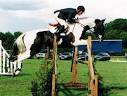 Horse Pictures - Coloured Polish Warmblood Stallion