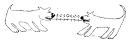 Integers