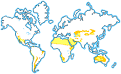Desert Biomes