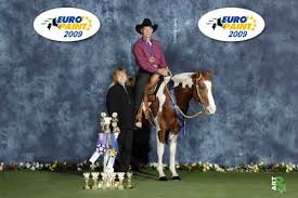 Mit ihrer Besitzerin Sophie Schonauer wurde sie dieses Jahr außerdem PHCG-Rheinlandmeisterin in Amateur Horsemanship, Showmanship, Trail und Western ...