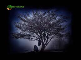 ლამაზი ღამე