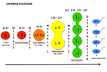 <b>Espermatogénesis</b> - Wikipedia
