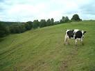 The guardian of the Limestone Way - via Daymix