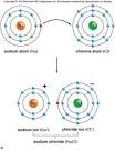 Chapter 1     Biochemistry    Reactionize