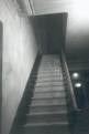 AMERICA'S MOST HAUNTED: MYRTLES PLANTATION