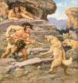 800 Wildlife Species Extinct. Is Technology Responsible?
