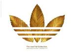 Adidas Originals: Fall collection | Ads of the World