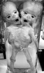 Two's Company « Graeme Reynolds's Blog
