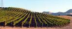 QUPE Wines - Santa Barbara, Santa Maria, Central Coast