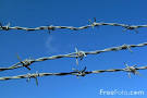 My Bersih 3.0 Experience: Behind the Barbed-Wire Barricades ...