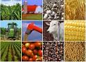 Agricultural Commodities In 2012 - Volatile Outlook?