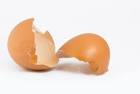 egg shell - photo/picture definition at Photo Dictionary - egg ...
