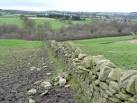 In need of some TLC. Drystone field wall west of Bents Lane. - via Daymix