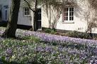near to Clyst st Lawrence, Devon, Great Britain - via Daymix