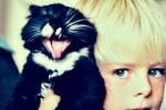 Tags: bauke cat | Leave A