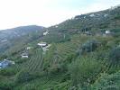 Douro Valley - Northern Portugal - Reviews of Douro Valley ...