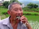 小老鼠。蒋木生称自从开始活