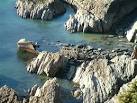 on this rocky beach. - via Daymix