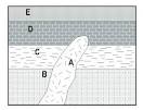 The Geologic Time and Dating