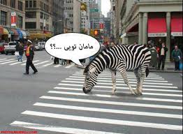 ◮¤ گُـفـتُــــ~ـــــگــویِ آزاد نُســـ×ــــخِه یِ C ُ پَنــ✉ــج ¤◭ 110