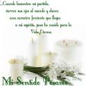 Frases De Pesame